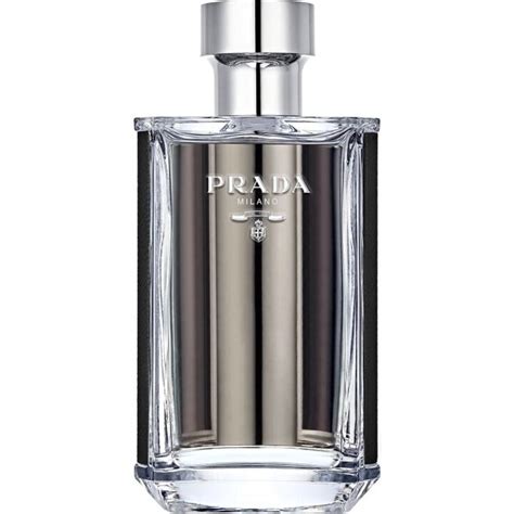 buy prada l homme|prada l'homme reviews.